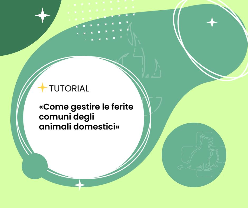 animali domestici come curare le ferite