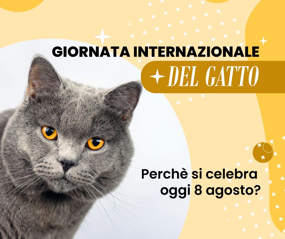 giornata internazionale del gatto